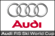 Audi FIS